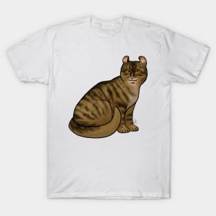 Cat - American Curl - Shorthair Dark Brown Tabby T-Shirt